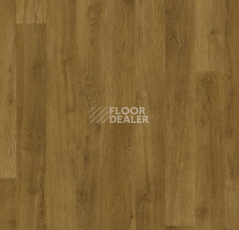 Ковролин Forbo Flotex Vision Naturals 010053 Golden Oak фото 1 | FLOORDEALER